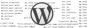 Function Wordpress