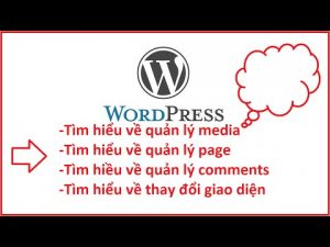 Tim Hieu Ve Media  Page Comments Themes