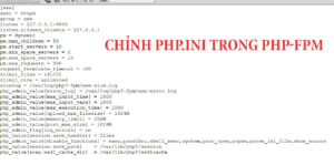 Chinh-phpini-tron-php-fpm