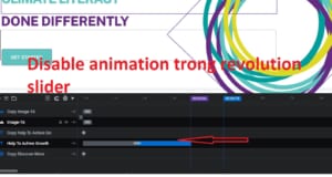 Disable Animation Trong Revolution Slider